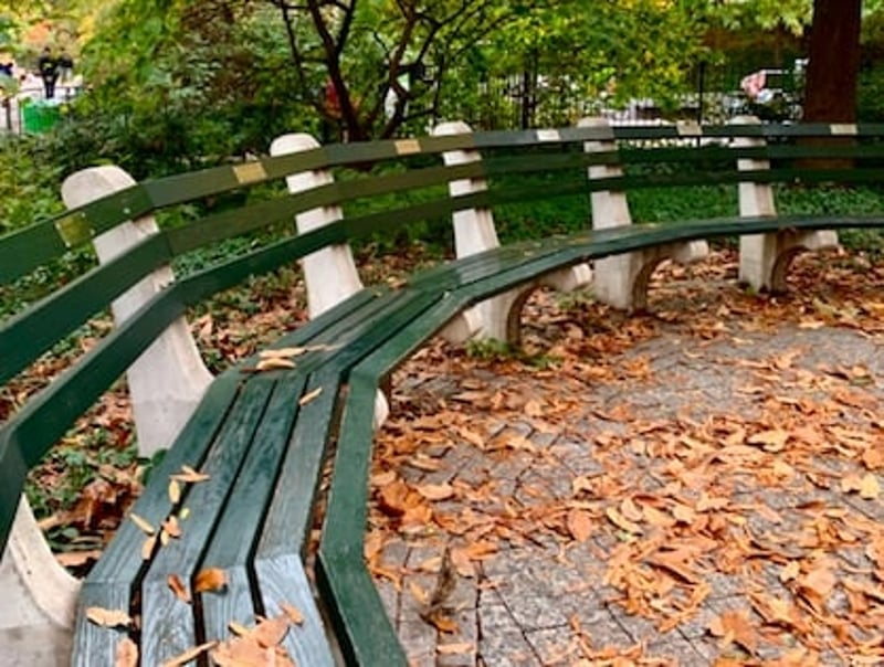 Benches Of Central Park preview 2